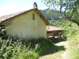 Finca Finca