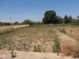 Terrenos Zaragoza, Peñaflor De Gallego Terrenos Zaragoza, Peñaflor De Gallego