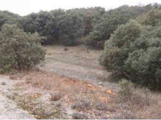 EL PICAÑO - PARCELA 172 EL PICAÑO - PARCELA 172