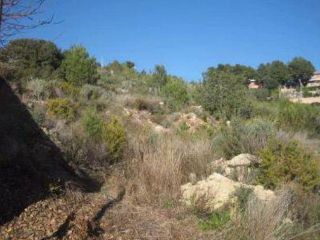 Parcela unifamiliar en Sant Miquel Parcela unifamiliar en Sant Miquel