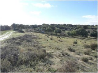 en Méntrida en Méntrida