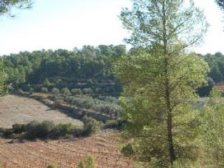 en Venta Del Moro en Venta Del Moro