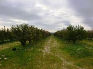 en Roquetes en Roquetes