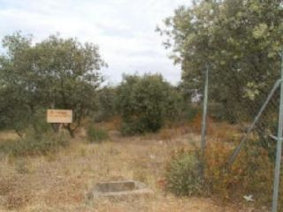 en Valdeaveruelo en Valdeaveruelo