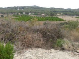 en Albalat Dels Tarongers en Albalat Dels Tarongers
