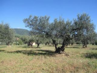 en La Garriga en La Garriga