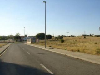 en Buenavista en Buenavista