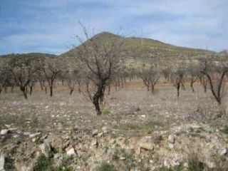 en Benizalón en Benizalón
