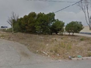 en El Ejido en El Ejido