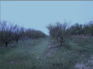 en Aldover en Aldover