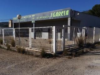en Alcanar en Alcanar