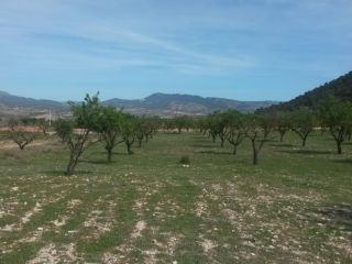 Chalet en Villena Chalet en Villena