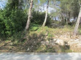 Finca rustica en Canyelles Finca rustica en Canyelles