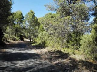 Parcela unifamiliar en Albalate De Zorita Parcela unifamiliar en Albalate De Zorita