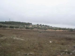 Finca rustica en Chinchon Finca rustica en Chinchon
