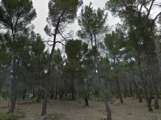 Rústico en venta Rústico en venta
