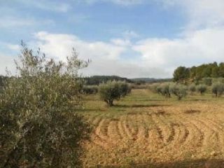 Suelo en Venta del Moro Suelo en Venta del Moro