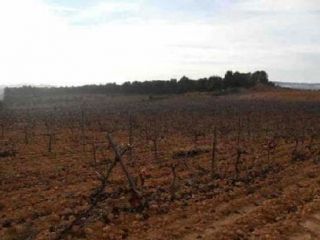 Suelo en Venta del Moro Suelo en Venta del Moro