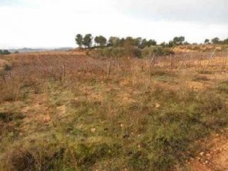 Suelo en Venta del Moro Suelo en Venta del Moro