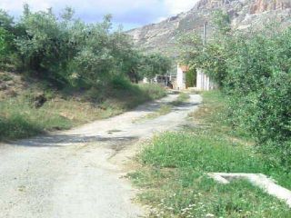 CALLE PAGO TRANCES CALLE PAGO TRANCES