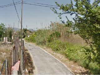 51929-0001 51929-0001