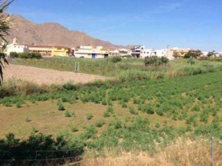 Finca rustica en Cox Finca rustica en Cox