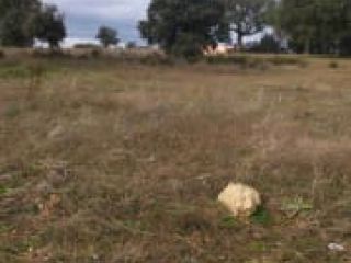 Suelo en Valverdón Suelo en Valverdón
