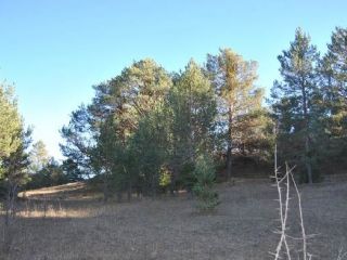 PARAJE HUMBRIA MAS DE PAYRON, MANTELLINA PARAJE HUMBRIA MAS DE PAYRON, MANTELLINA