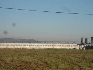 en Alange en Alange