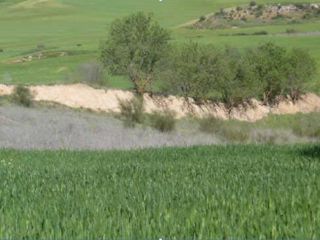 Parcela unifamiliar en Parcela unifamiliar en