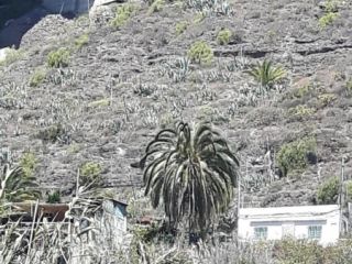 Chalet en 95500 Chalet en 95500