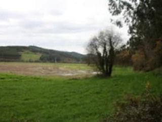 en Aller en Aller