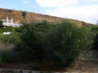 Suelo en El Ejido Suelo en El Ejido
