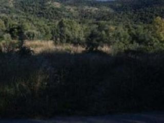 Suelo en Darnius Suelo en Darnius