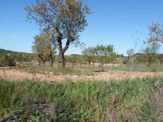 Finca rustica en 188200 Finca rustica en 188200