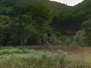 66005-0001 66005-0001
