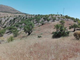Suelo en Murtas Suelo en Murtas