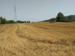 Suelo en Santa Eugènia Suelo en Santa Eugènia