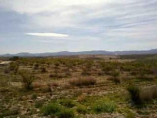 Suelo en Sorbas Suelo en Sorbas