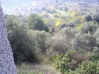 Suelo en Torrechiva Suelo en Torrechiva