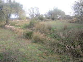 Suelo en Cervera del Maestre Suelo en Cervera del Maestre