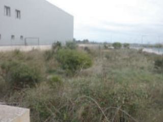 Suelo en Alcúdia Suelo en Alcúdia