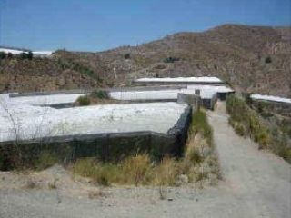 Rústico en venta en pre. pago de los chilches Rústico en venta en pre. pago de los chilches