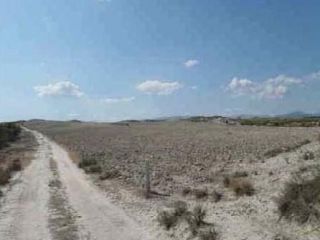Rústico en venta en pre. coto de las tobas pago la ventica Rústico en venta en pre. coto de las tobas pago la ventica