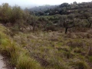 Suelo en Alcalalí Suelo en Alcalalí