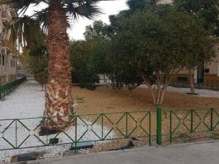 Piso en Huércal de Almería Piso en Huércal de Almería