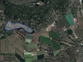 Finca rustica en 19550 Finca rustica en 19550