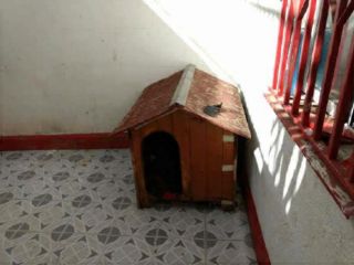 Piso en 106300 Piso en 106300