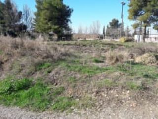 Suelo en Bell-lloc d'Urgell Suelo en Bell-lloc d'Urgell