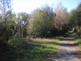 Finca rustica en 24225 Finca rustica en 24225